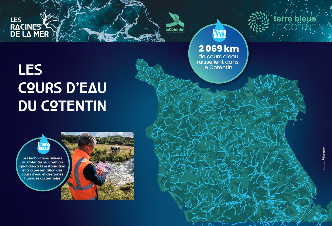 les racines de la mer