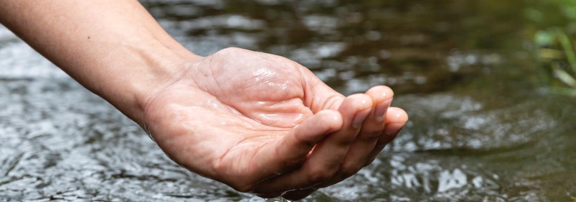 Le cycle de l'eau @Thierry Houyel