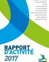 Rapport d'activité 2017
