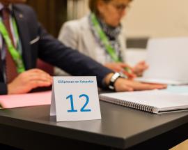 Forum ESS - copyright Thierry HOUYEL
