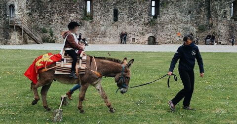 Olympiades du Moyen-âge à Saint-Sauveur-le-Vicomte