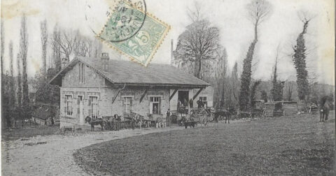 Carte postale ancienne "Saint-Sauvuer-le-Vicomte - Laiterie du Val d'Ouve"