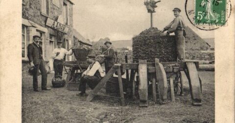 Carte postale ancienne "Brix, le brassage des pommes"