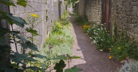 Une chasse fleurie à Valognes