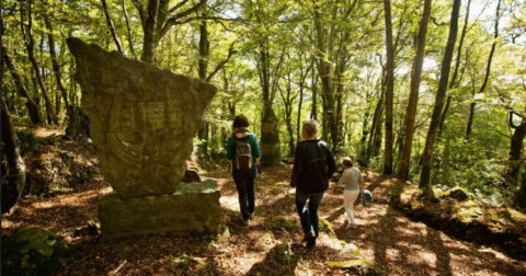 Randonnée dans la forêt de Brix