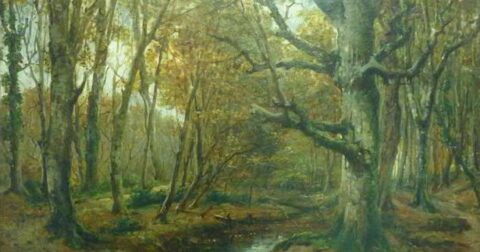 Peinture de Guillaume Fouace représentant un sous-bois