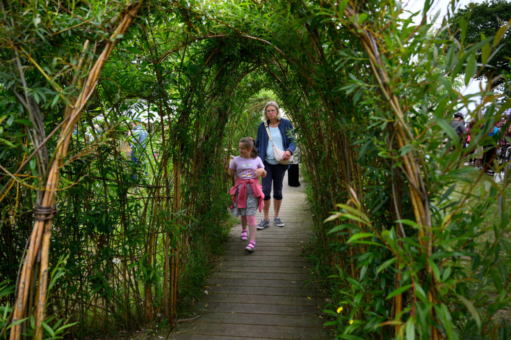 Tunnel de cabanosiers en osier tressé vivant au Moulin à vent de Fierville-les-Mines