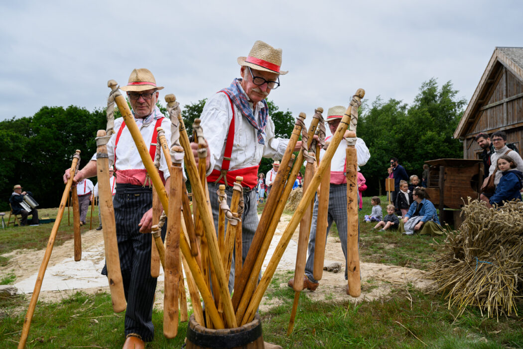 Démonstration de battage du blé au fléau à la Fête des cabanosiers 2025, Moulin du Cotentin