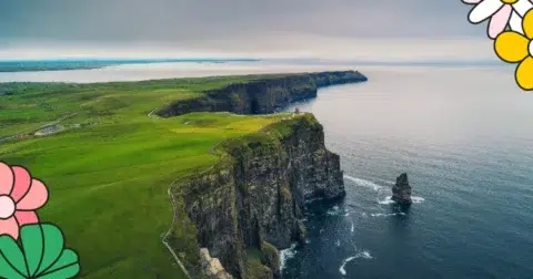 Jeu concours Le Cotentin fête l'Irlande 2026 – lots à gagner avec Brittany Ferries, Le Comptoir Irlandais et la Brasserie Ferey