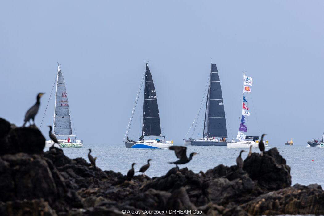 Voiliers pendant la course nautique Drheam Cup